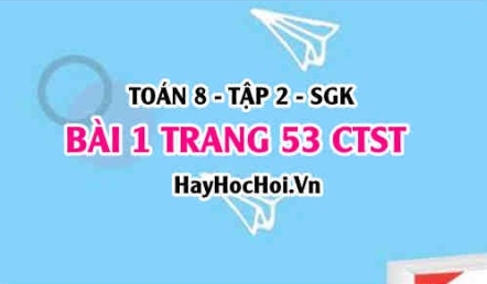 Bài 1 trang 53 Toán 8 Tập 2 Chân trời sáng tạo